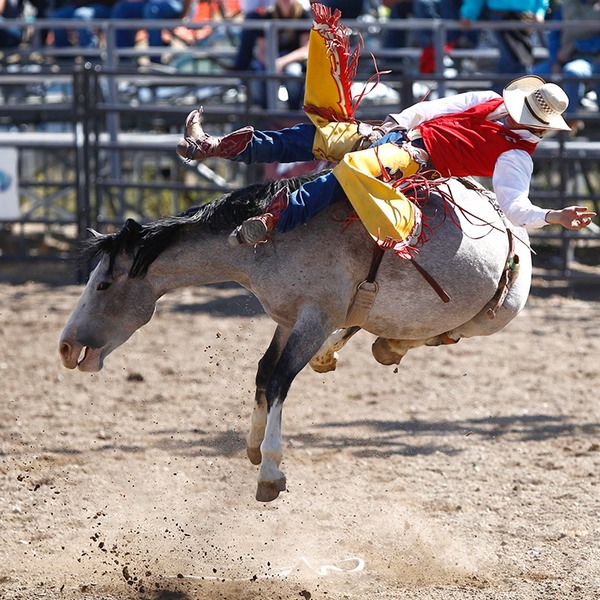 110917_AT_RO Rodeo at Riverton 028