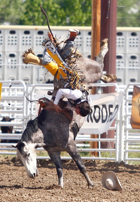 130608 WY State Rodeo Finals002.JPG