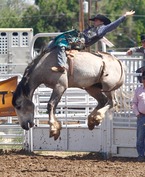 130608 WY State Rodeo Finals001.JPG